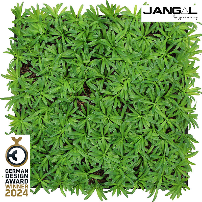 Wandpaneel Jangal Modular Wall 11104 Podocarpus Tea Tree 52 x 52 cm