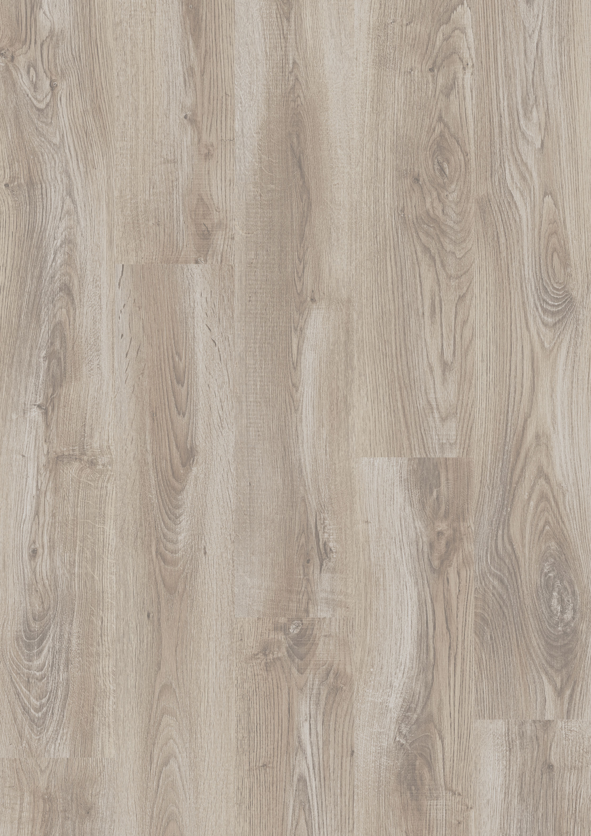 Laminat Jangal 8134 Cherokee Oak Indigo Line Basic 7mm